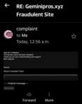 Domain registrar suspended Gemini Pro website due to fraud